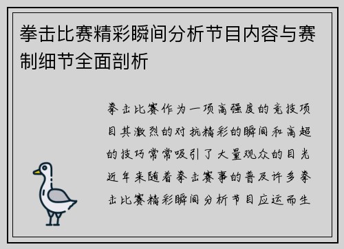 拳击比赛精彩瞬间分析节目内容与赛制细节全面剖析 拳击比赛精彩瞬间分析节目内容与赛制细节全面剖析